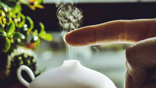 Jakie olejki eteryczne wybrać do domowego dyfuzora?