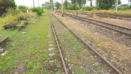 Jakie problemy mają piesi w Lublinie? Ratusz chce się dowiedzieć