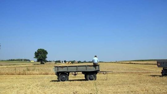 Jakie problemy zdrowotne mają polscy rolnicy? Przebadali 10 tys. osób