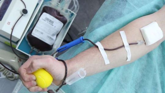 Janów Lubelski: Oddaj krew 5 września