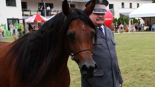Janów Podlaski. Awans prezesa stadniny