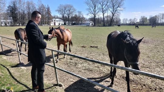 Janów Podlaski będzie miastem. Wójt chce turystom stworzyć drugi Kazimierz Dolny 
