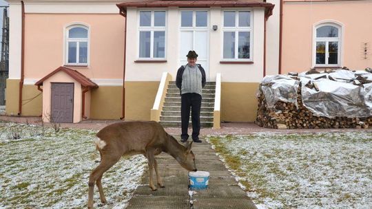 Janów Podlaski: Ksiądz proboszcz gromadzi zwierzęta, stworzył minizoo