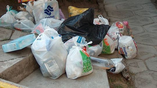 Janów Podlaski: Śmieci na opał albo do lasu