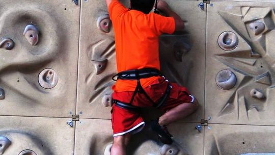 Janowiec. Park zamiast remontu urzędu