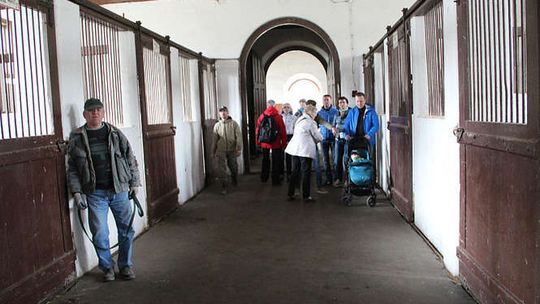 Janowska stadnina sprzedała dziewięć koni. Za sumę 81 tysięcy złotych