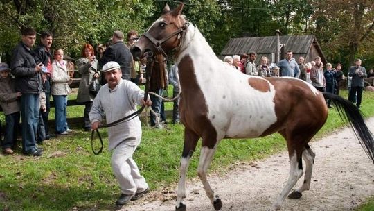 Jarmark Koński w skansenie