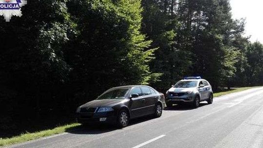 Jechał autem przez las. Przed maskę wybiegł dzik
