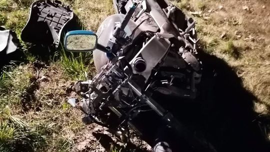 Jechał na motocyklu i zderzył się z łosiem przechodzącym przez jezdnię