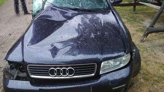 Jechał zbyt szybko. Czołowo zderzył się z porsche