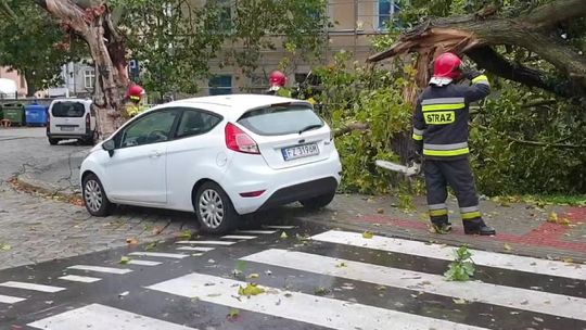Jedna osoba zginęła, a siedem zostało rannych po przejściu przez Polskę burz i wichur