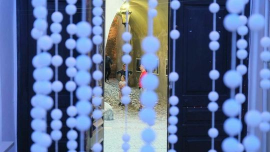 Jedyna taka noc w mieście. Program Świdnickiej Nocy Kultury