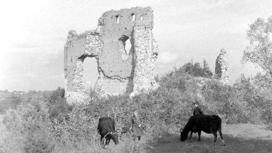 Jej chatki zbutwiałe, bez porządku stojące. Historia zamku w Bochotnicy