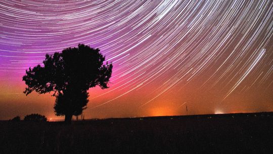 Jej zdjęcia zachwycają. Jako jedna z nielicznych w Polsce stale współpracuje z NASA