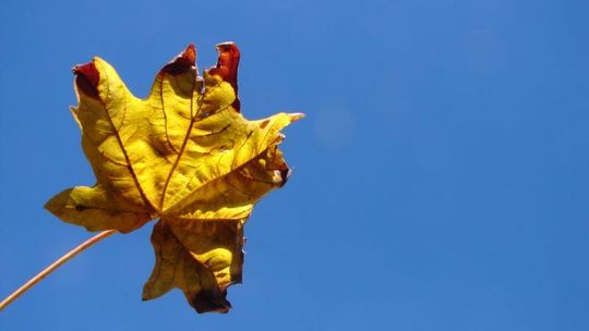 Jesień przyjdzie dziś o 16:49. Jaką przyniesie pogodę?