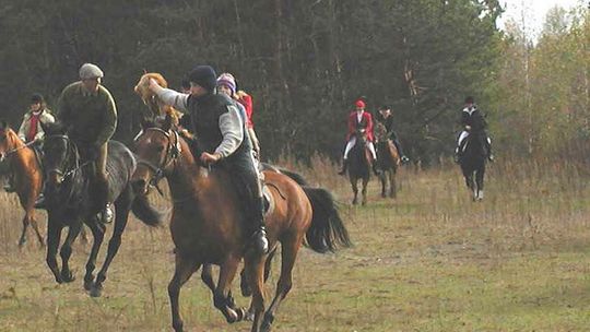 Jesienny bieg po rude trofeum 