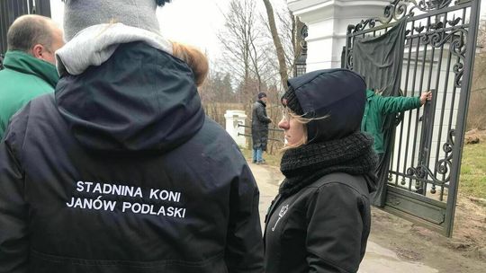 Jest nowy prezes stadniny koni w Janowie Podlaskim. Co na to pracownicy?