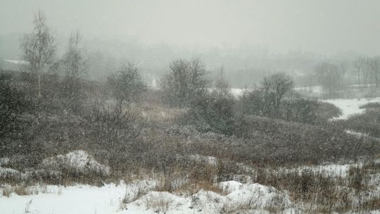 Jest nowy wyrok w sprawie górek czechowskich. Poprzednia decyzja uchylona