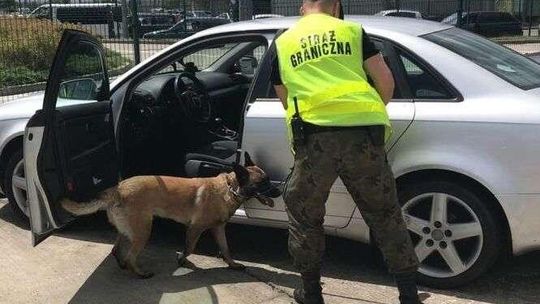 Jest praca w Straży Granicznej. Ile można zarobić?