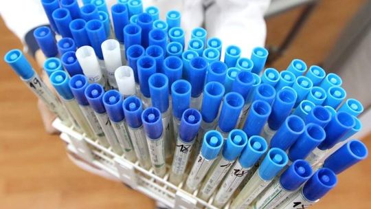 Jeszcze więcej zatrutych po imprezach w Parczewie