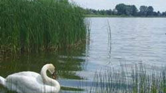 Jezioro Firlej (nr 36) - 0 głosów