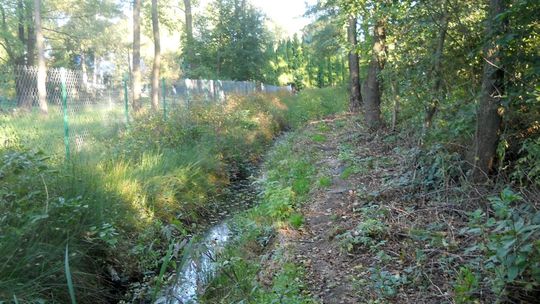 Jezioro Łukcze za siatką. Właściciele działek mają problem