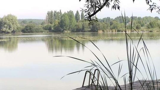Jezioro wystawione na sprzedaż. Kiedyś było tu kąpielisko