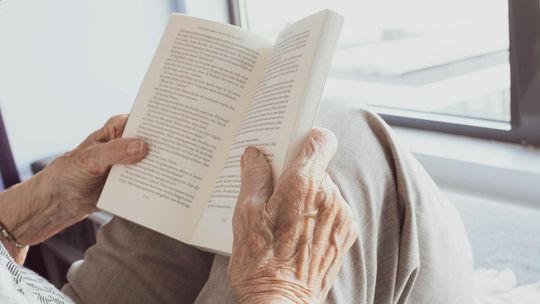 Język, doświadczenie i empatia. Ekspert radzi co liczy się w pracy w Irlandii