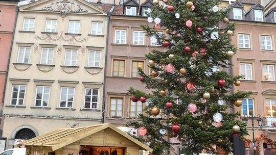 Jodła z łukowskich lasów stanęła na warszawskim rynku
