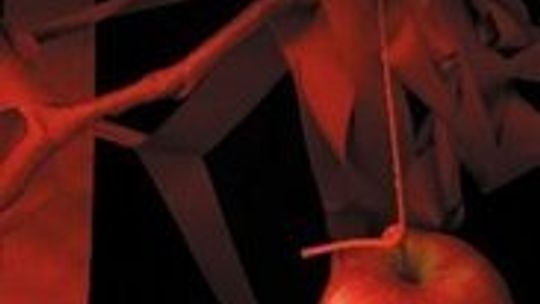 John Updike - \"Miesiąc niedziel\"