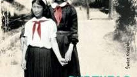 Jolanta Krysowata, "Skrzydło anioła. Historia tajnego ośrodka dla koreańskich sierot