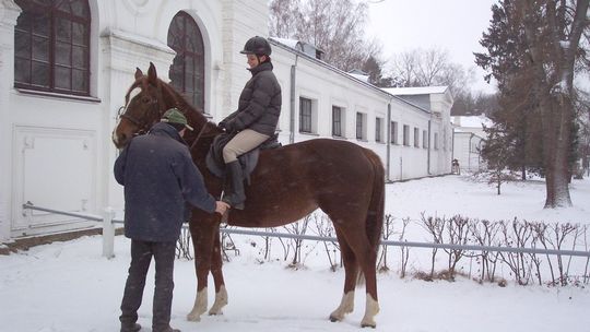 Jukatan - koń profesor