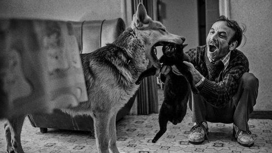 Jukka Male w Akademii Odkryć Fotograficznych