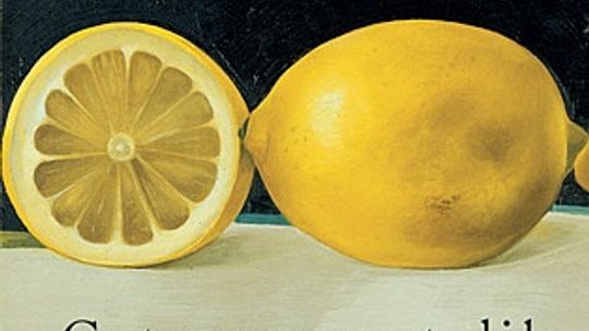 Julian Barnes, \"Cytrynowy stolik”