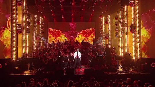 Justyna Steczkowska w zakrwawionej koszulce z napisem "Konstytucja" [wideo]