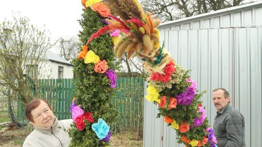 Jutro niedziela palmowa. Bukszpanowe palmy z Dysa