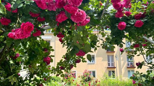 Już dziś! Ostatni dzwonek na obywatelski pomysł