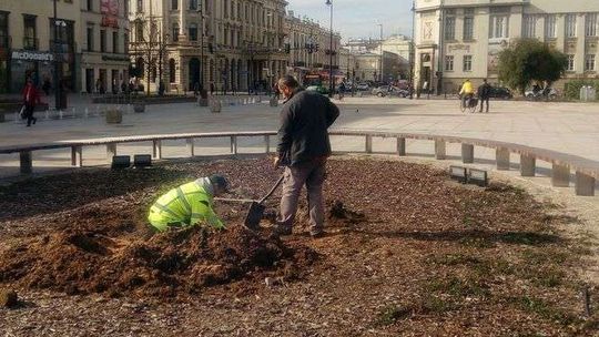 Już szykują grunt pod nowy Baobab