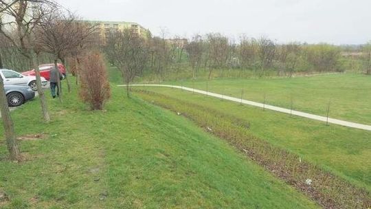 Już wiadomo, kto urządzi nowy park. Firma z Lublina odpadła