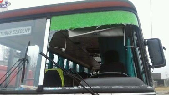 Kaczka rozbiła szybę w szkolnym autobusie i wleciała do środka