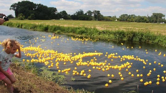 Kaczki szykują się do wyścigu. Można wygrać rower 