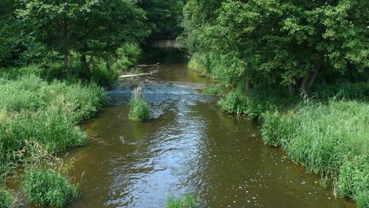 Kajakiem po Chodelce. Trasa spływu ma być bardziej atrakcyjna dla turystów