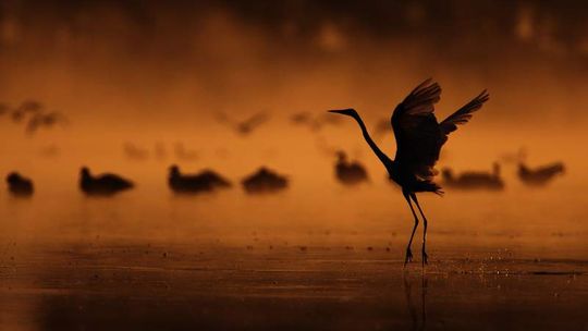 Kameralnie na Lubelszczyźnie