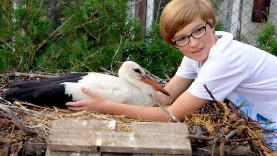 Kamil z Kozubszczyzny ratuje bociany: Chciałbym otworzyć ośrodek rehabilitacyjny