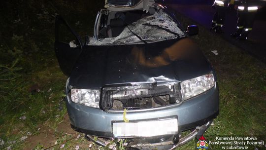 Kamionka: Samochód zderzył się z łosiem. Poszkodowane cztery osoby