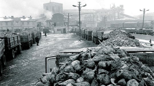 Buraczane eldorado nie wróci. Po lubelskiej cukrowni zostały tylko wspomnienia