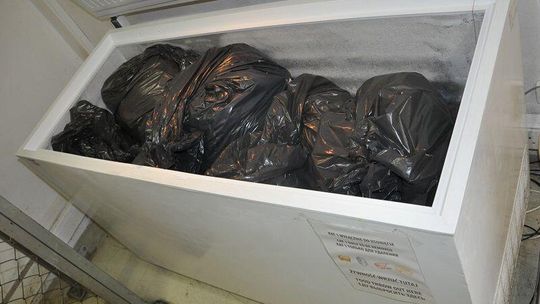 Kanapki, przekąski, desery. 53 tony jedzenia wylądowały w śmietniku