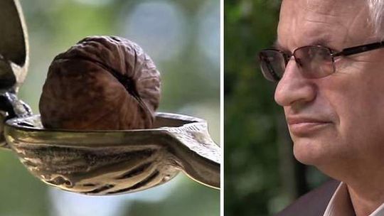 Kandydat SLD kontra "Dżem. Spot wciąż w emisji