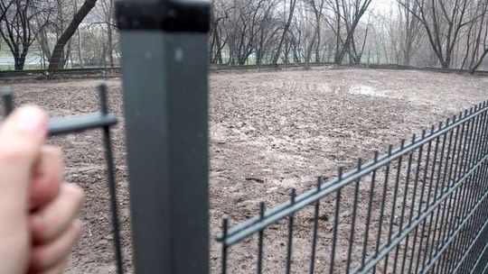 Kąpielisko dla prosiąt, czy wybieg dla psów? Właściciele pytają o wypożyczalnię kaloszy