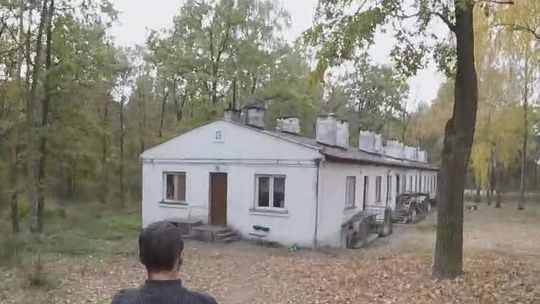 Karaluchy, wszy, grzyb. Tragiczne warunki w domu pomocy w woj. lubelskim [wideo]